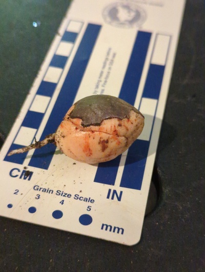 (photo taken November 18, 2023)