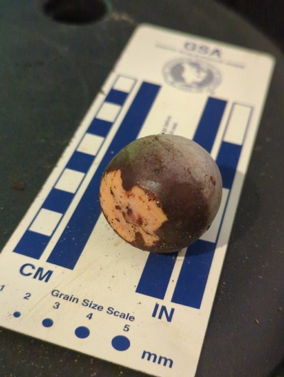 (photo taken November 18, 2023)