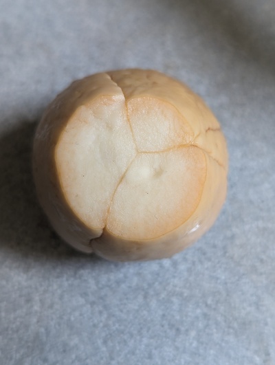 (photo taken December 30, 2023)