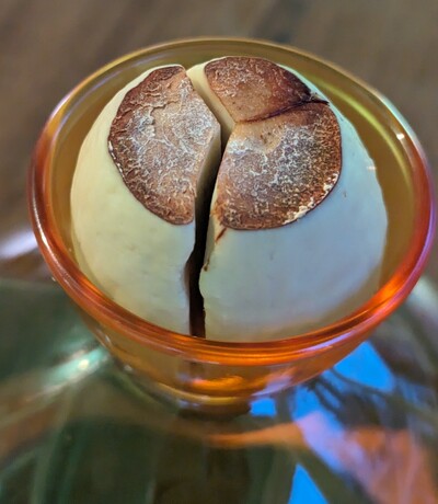 (photo taken December 31, 2023)