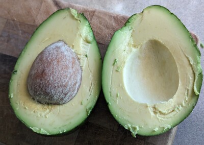 (photo taken December 31, 2023)