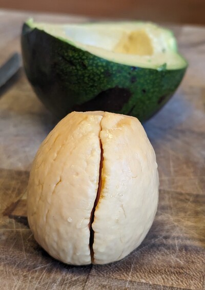 (photo taken December 31, 2023)