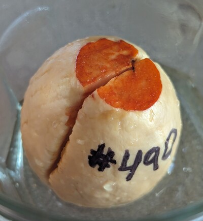 (photo taken December 31, 2023)