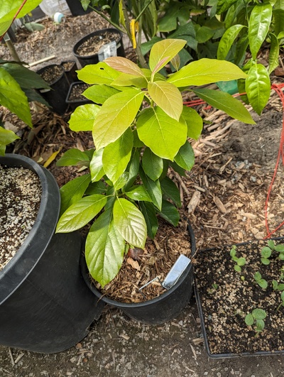 (photo taken May 23, 2024)