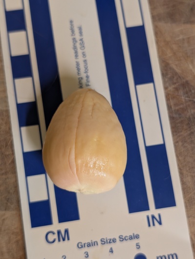 (photo taken October 10, 2025)