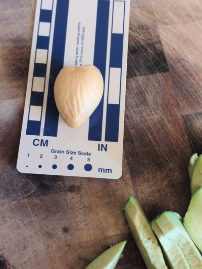 (photo taken October 14, 2025)