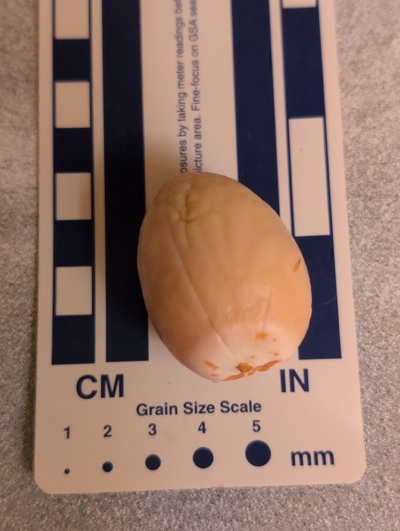 (photo taken October 16, 2025)