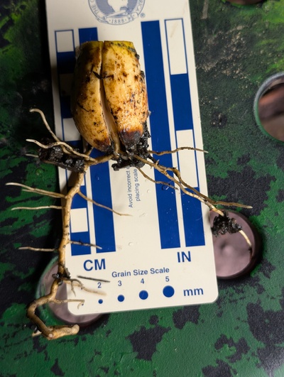 (photo taken November 6, 2025)