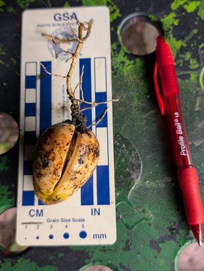 (photo taken November 6, 2025)