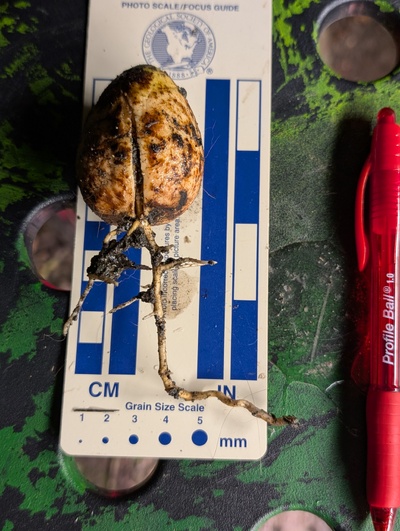 (photo taken November 6, 2025)