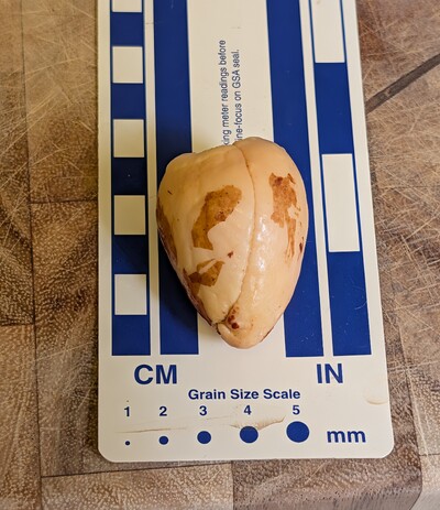 (photo taken November 9, 2025)