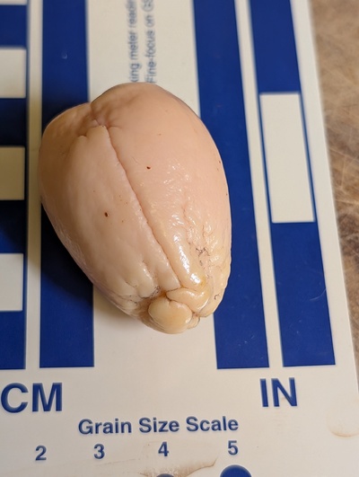 (photo taken November 9, 2025)