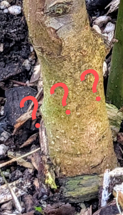 (photo taken December 4, 2025)