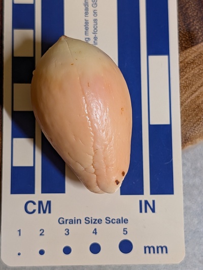 (photo taken December 17, 2025)