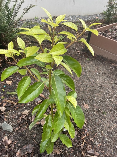 (photo taken January 22, 2026)