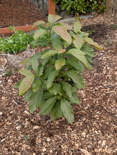 (January 26, 2026) Update -- Some minor to moderate damage but nothing serious.