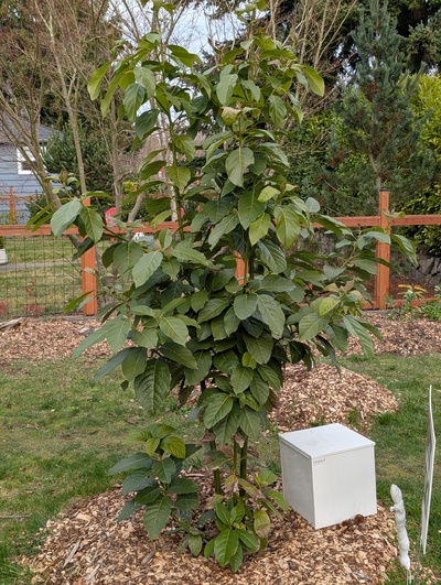 (photo taken January 26, 2026)