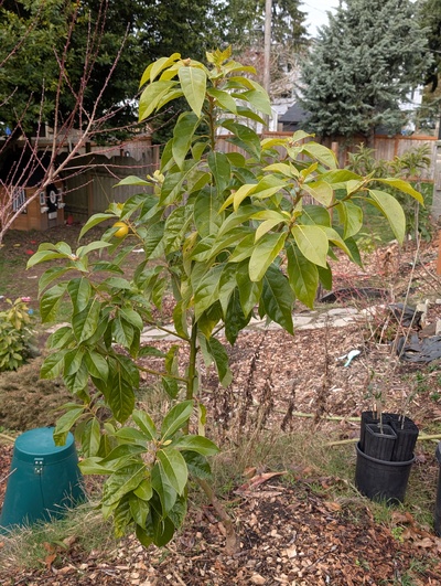 (photo taken January 26, 2026)