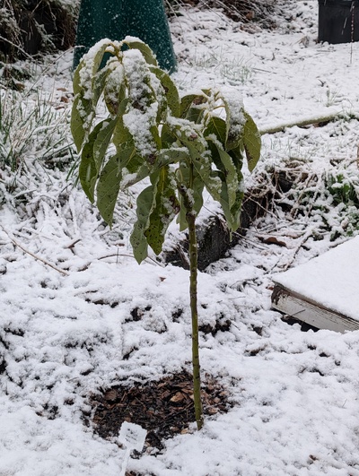 (photo taken March 14, 2026)