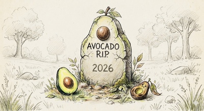 (photo taken September 7, 2026)