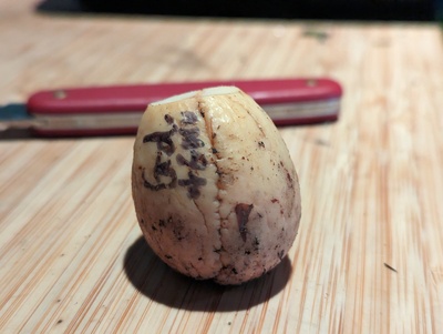 (photo taken December 17, 2022)