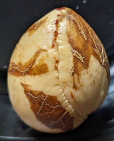 (photo taken February 7, 2023)