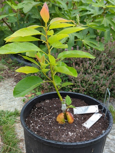 (photo taken September 23, 2023)